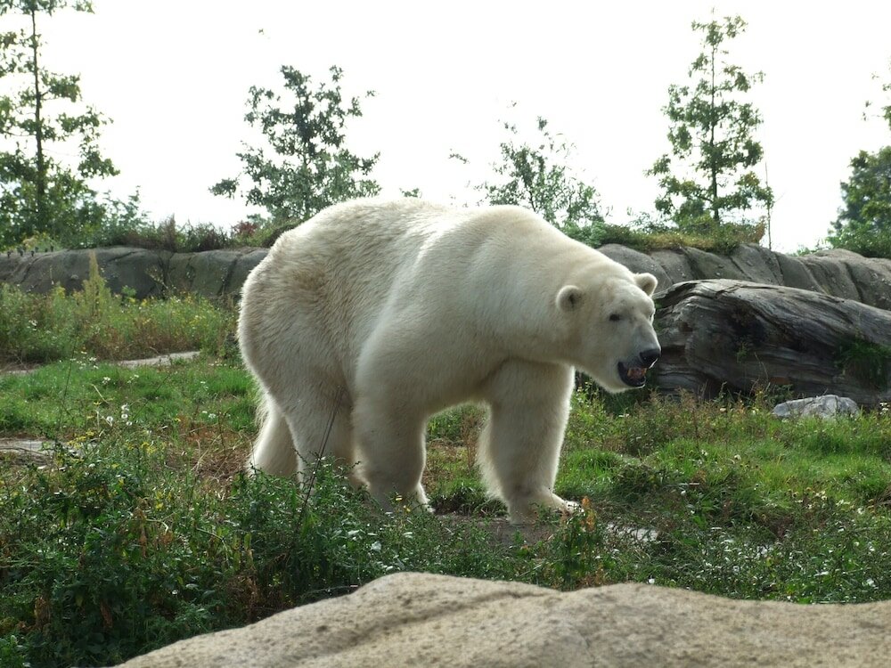 Фото Novotel Rotterdam Brainpark