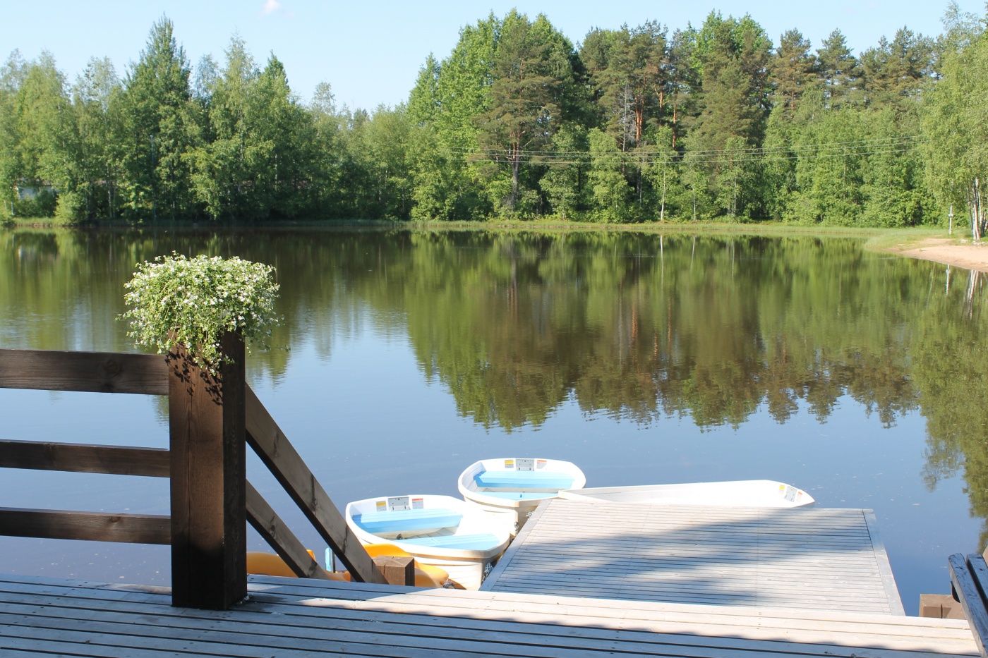 Фото Снежный