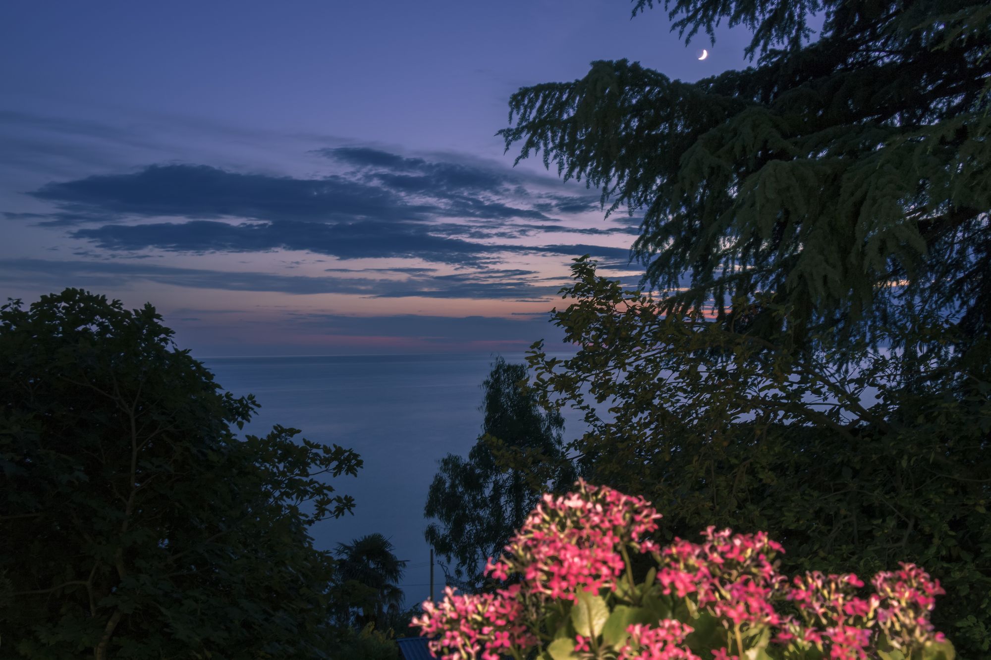 Фото Сосновый Бор