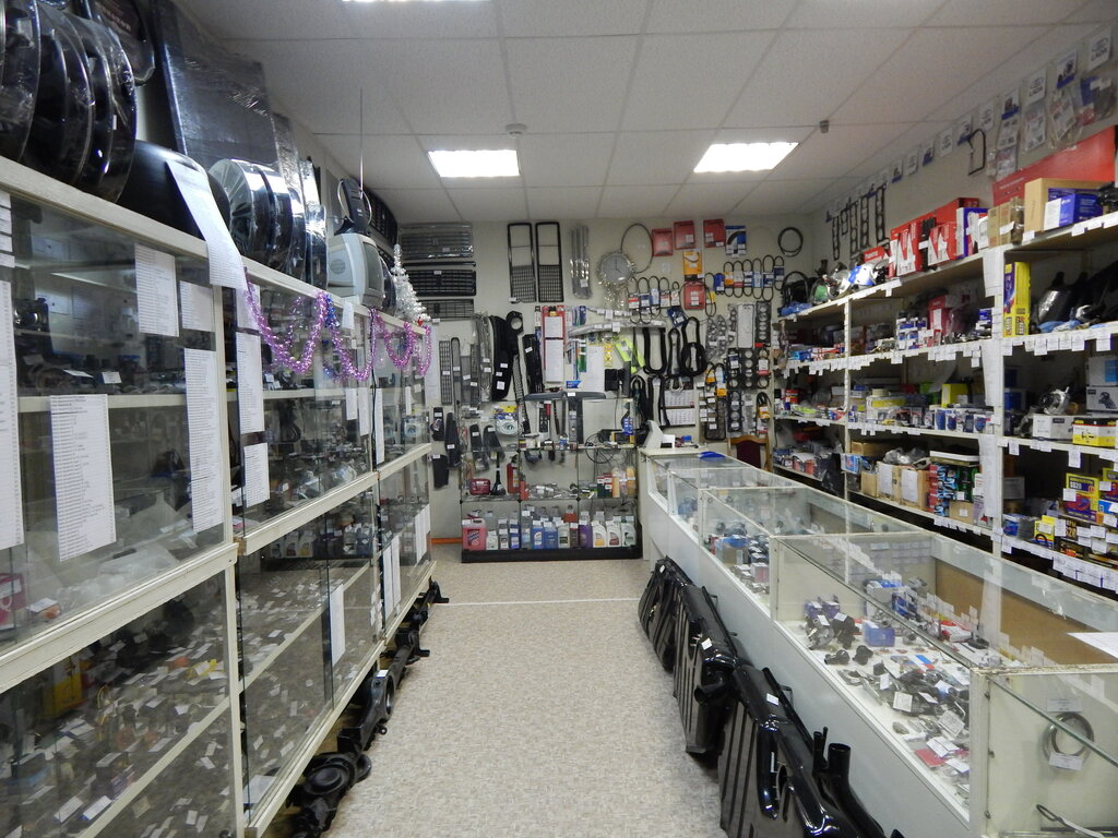 Auto parts and auto goods store Tolyatti, Pskov, photo