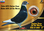 Sports Pigeons of Russia (Altufyevskoye Highway, 92), tienda de animales
