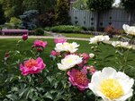 Greenlandia Garden center (Vlasikhinskaya Street, 59Г/22) ، مشتل
