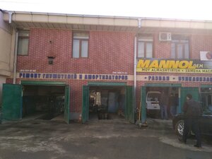 Avtoservis, avtotexnika markazi (улица Гагарина, 236), car service, auto repair