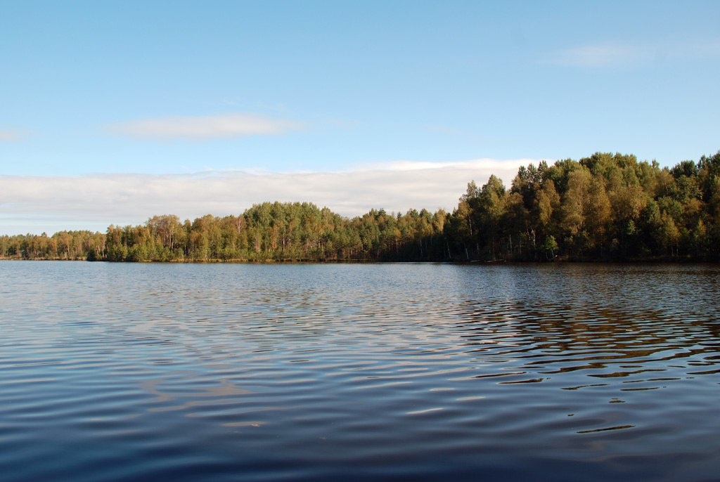 Фото Экокомплекс СДЛ