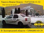 Taxi Lada (Livenskaya ulitsa, 104) ، خدمات سيارات الأجرة