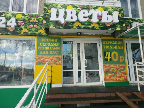 Магазин цветов Бритый кактус, Пермь, фото