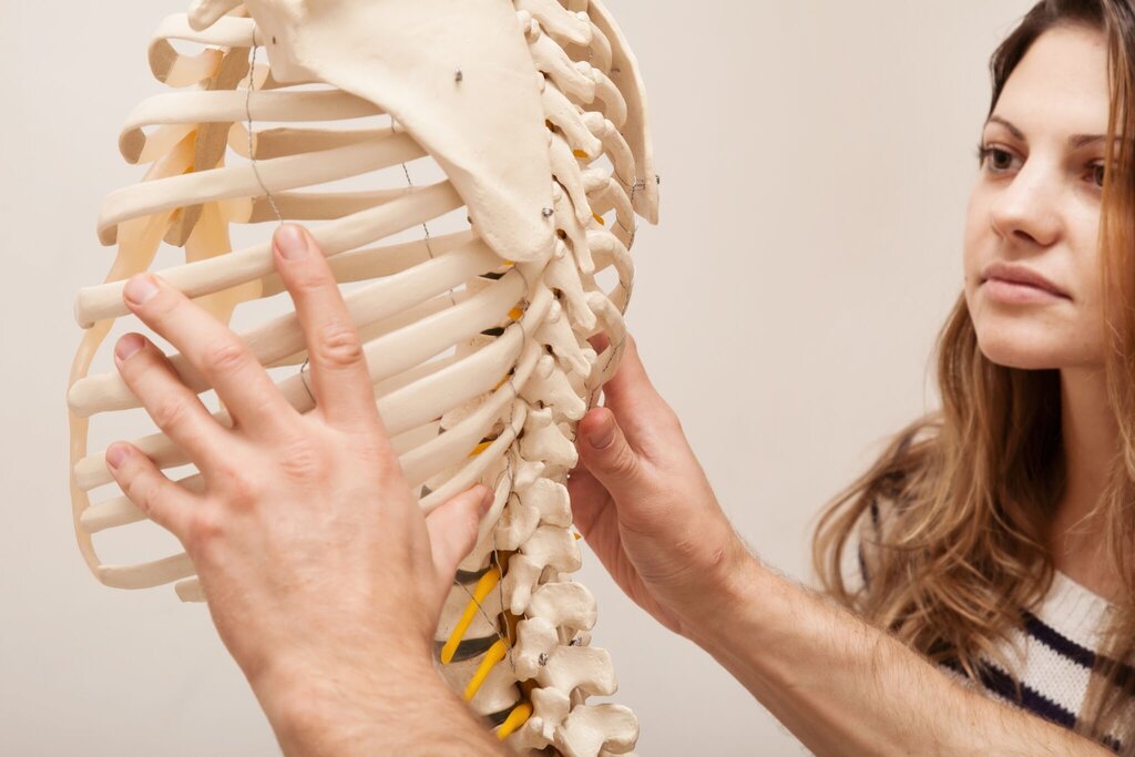 Alternative medicine Florida Chiropractic and Sports Rehab Center, State of Florida, photo