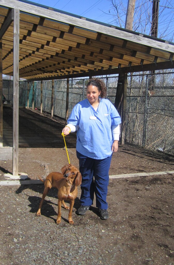 Veterinary clinic Vca Iselin Animal Hospital, State of New Jersey, photo