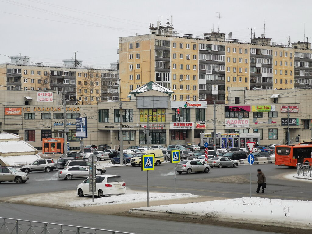 Торговый центр Золотая нива, Новосибирск, фото