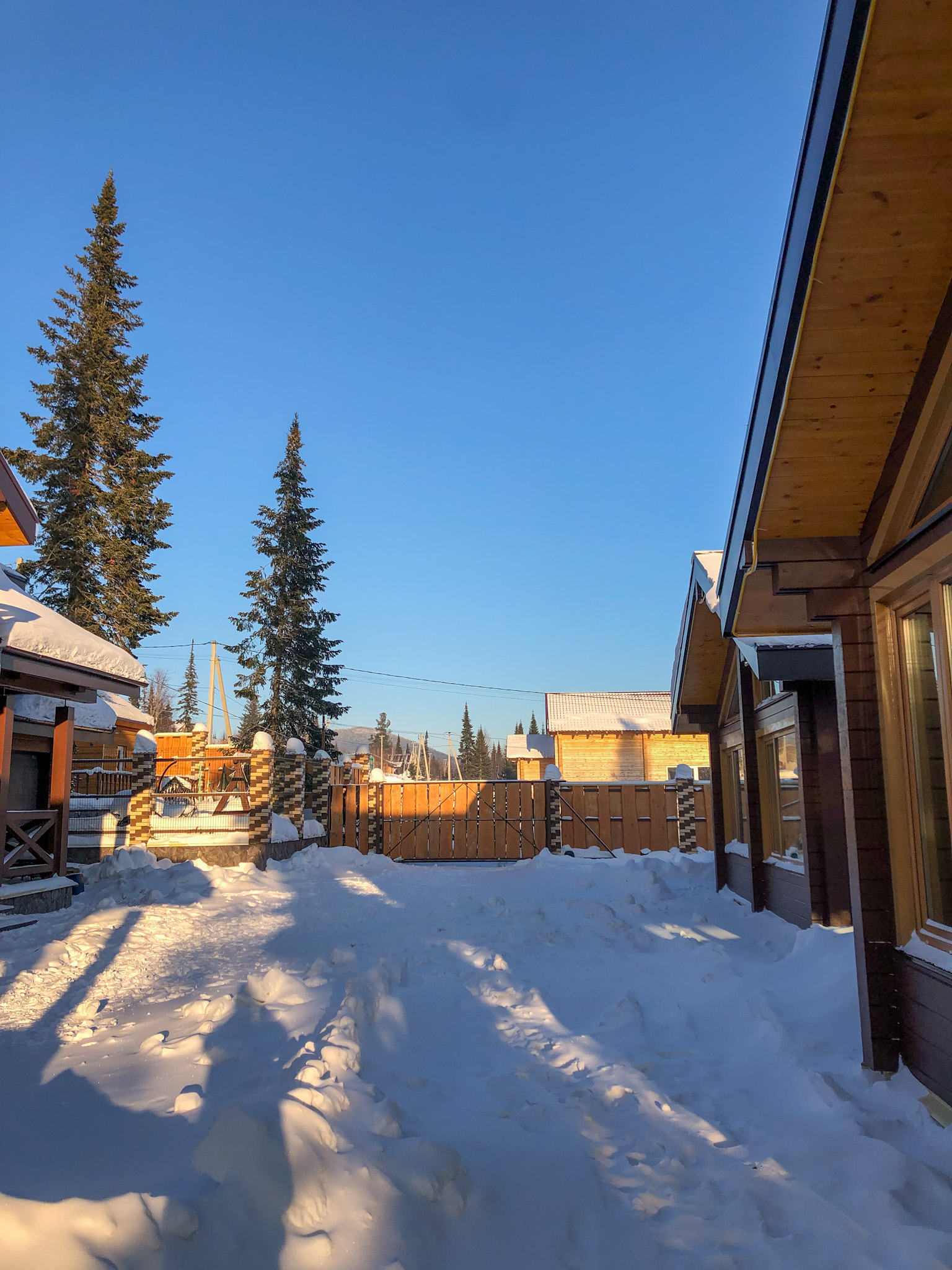 Фото Grizzly house