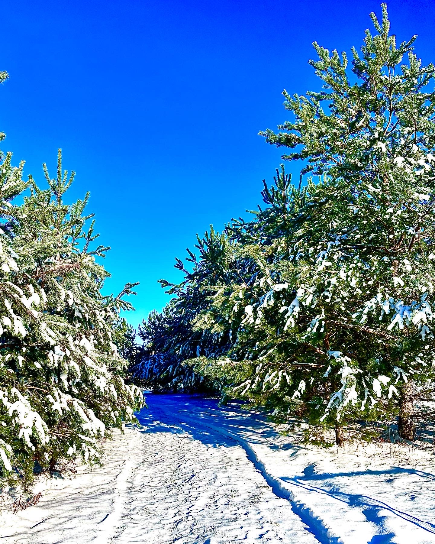 Фото Экопарк Богослово