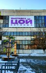 Виктор Цой. Легенда (Kozhevennaya Line, 40Б), exhibition center