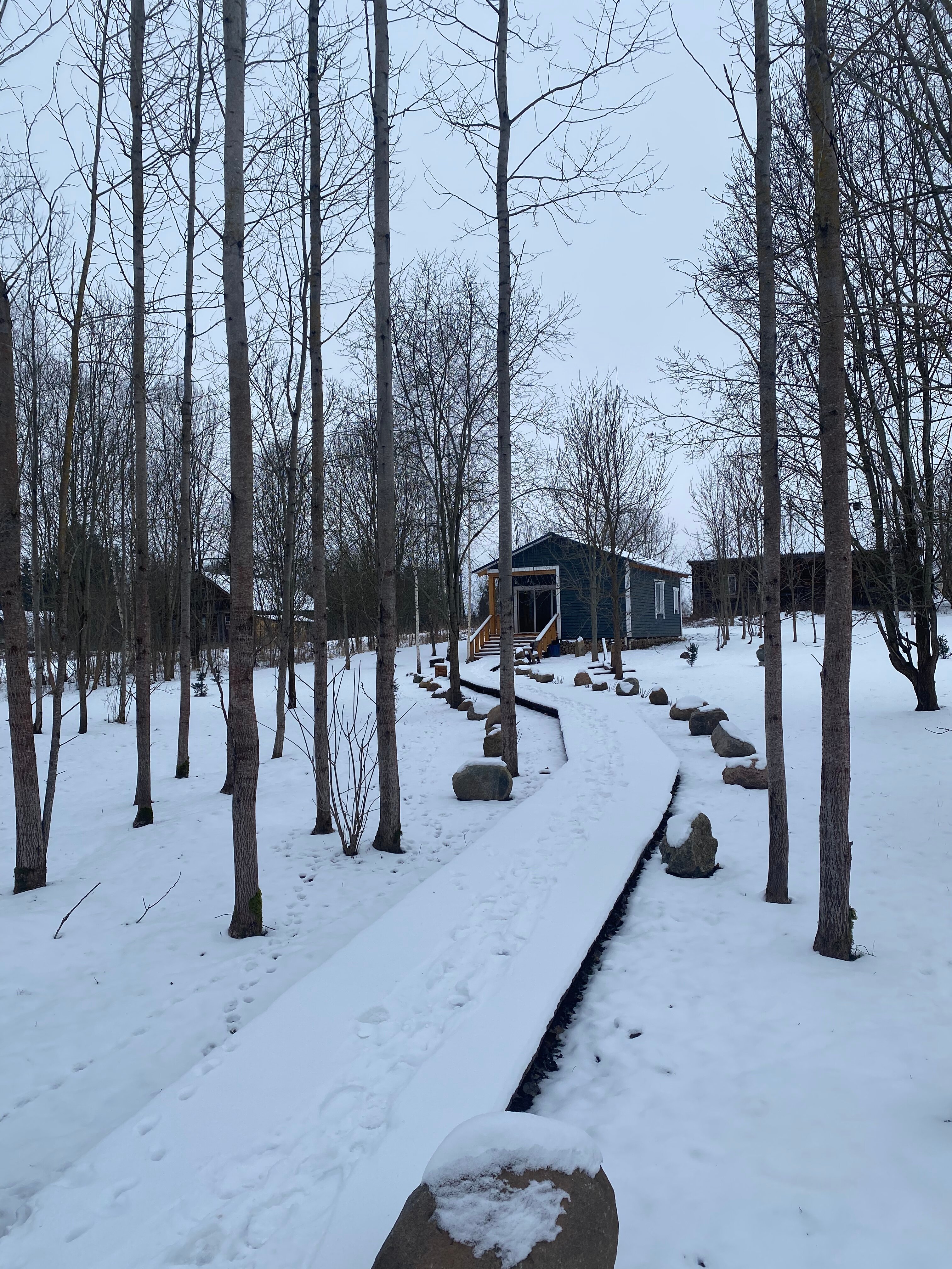 Фото Друзья