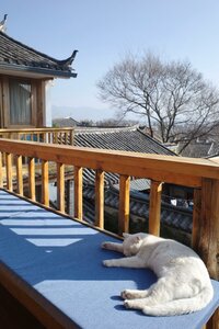 Гостиница Yunshang Boutique Inn