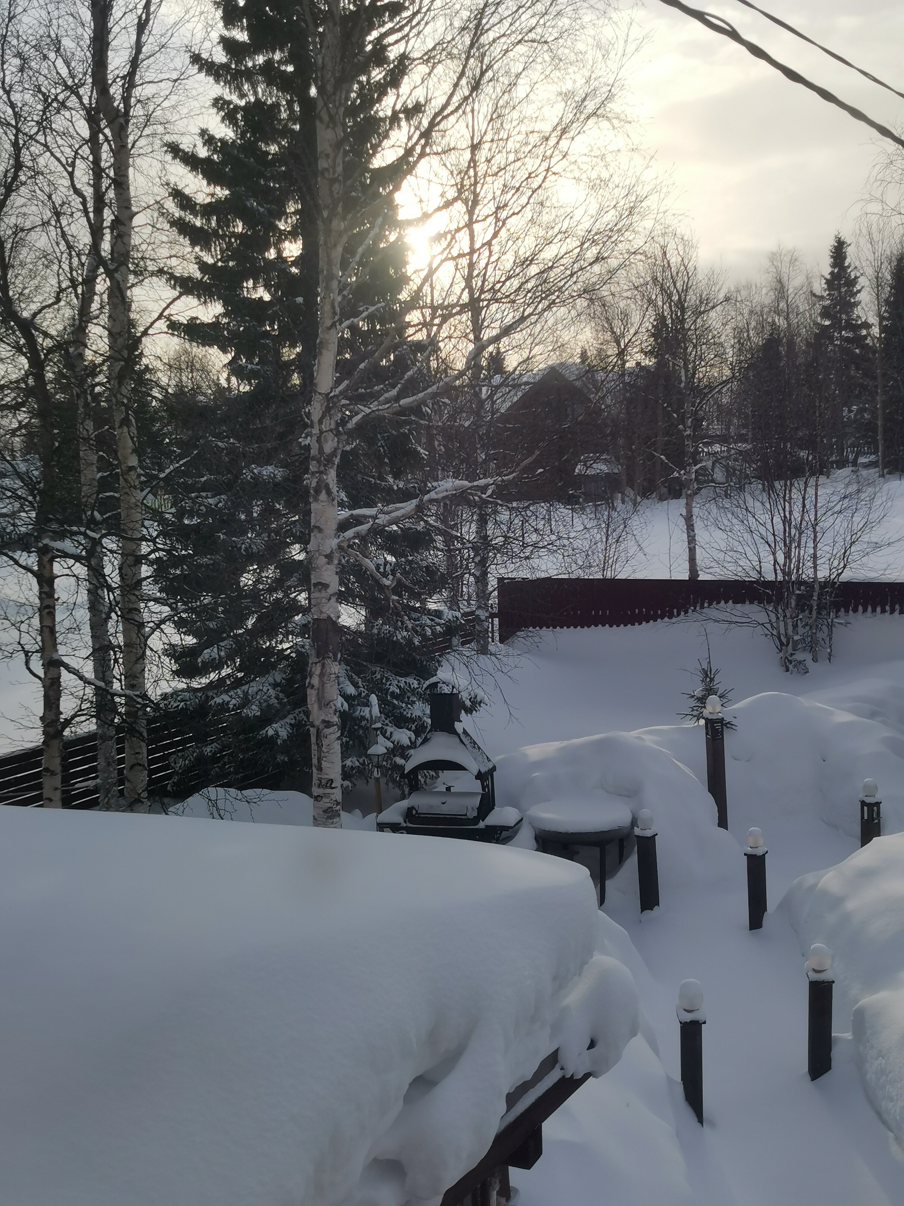 Фото ХибиныДача