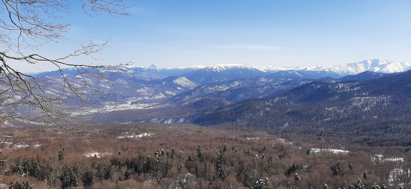 Александр Евстигнеев
