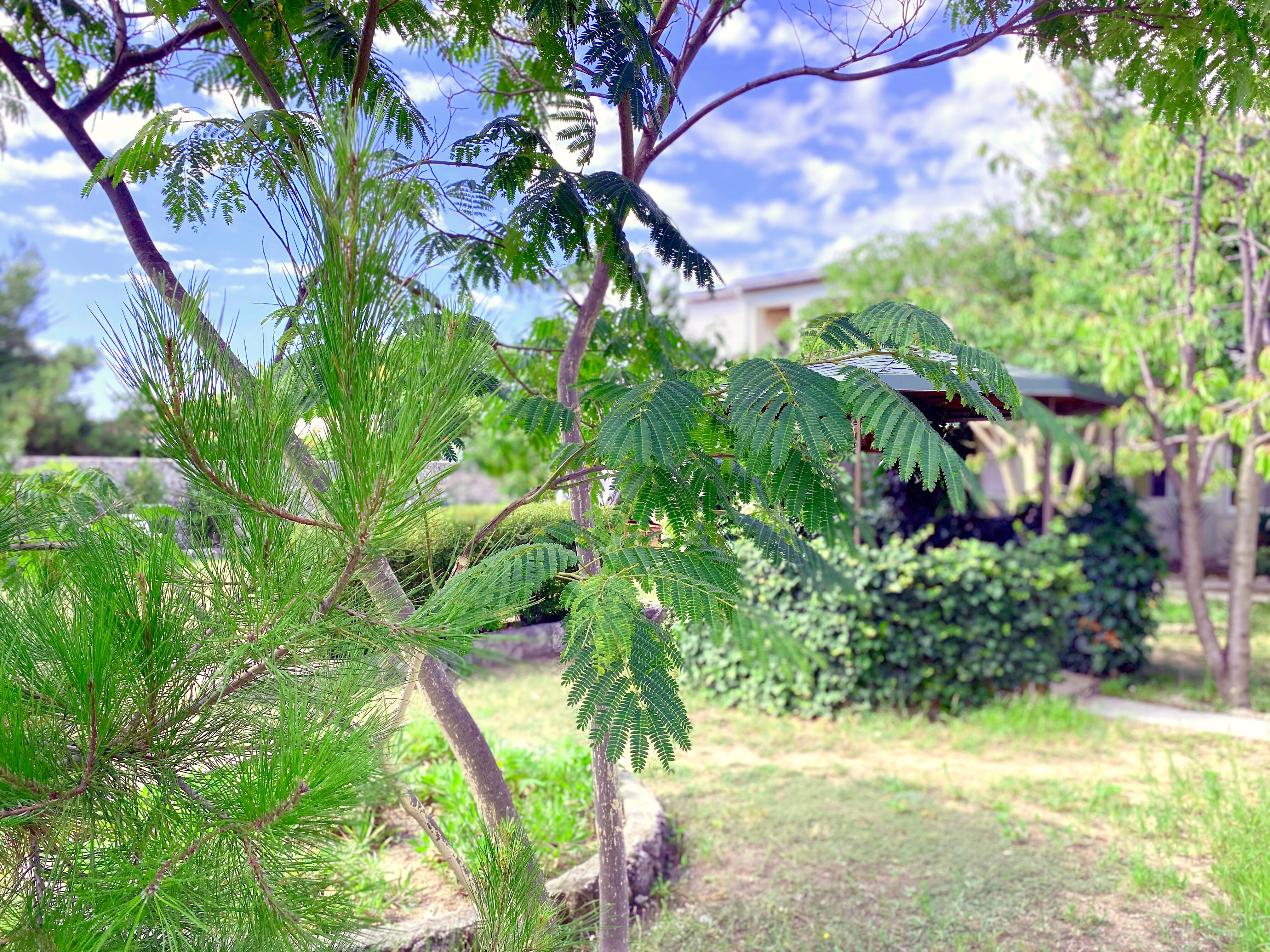 Фото АвокаДа