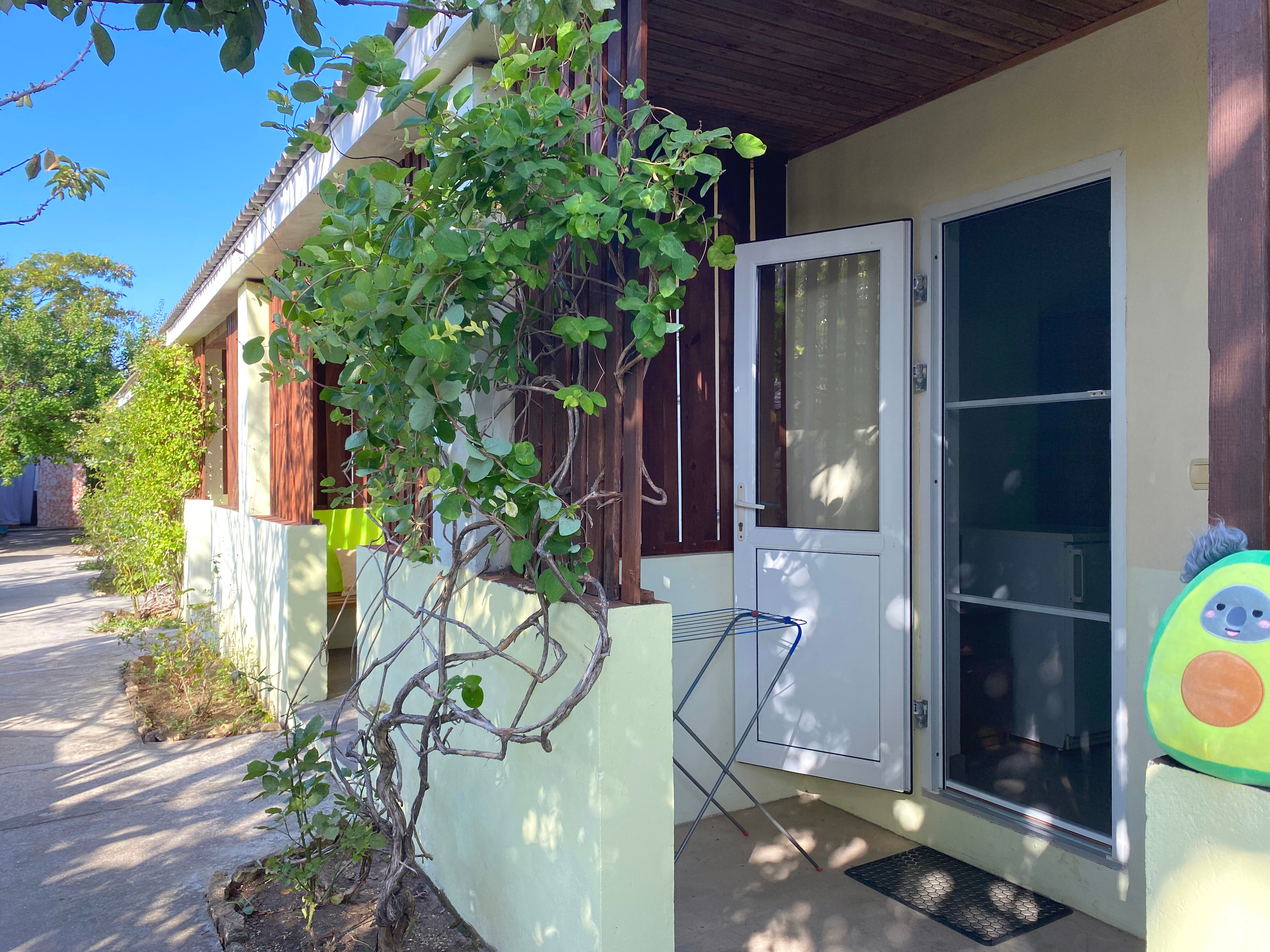 Фото АвокаДа