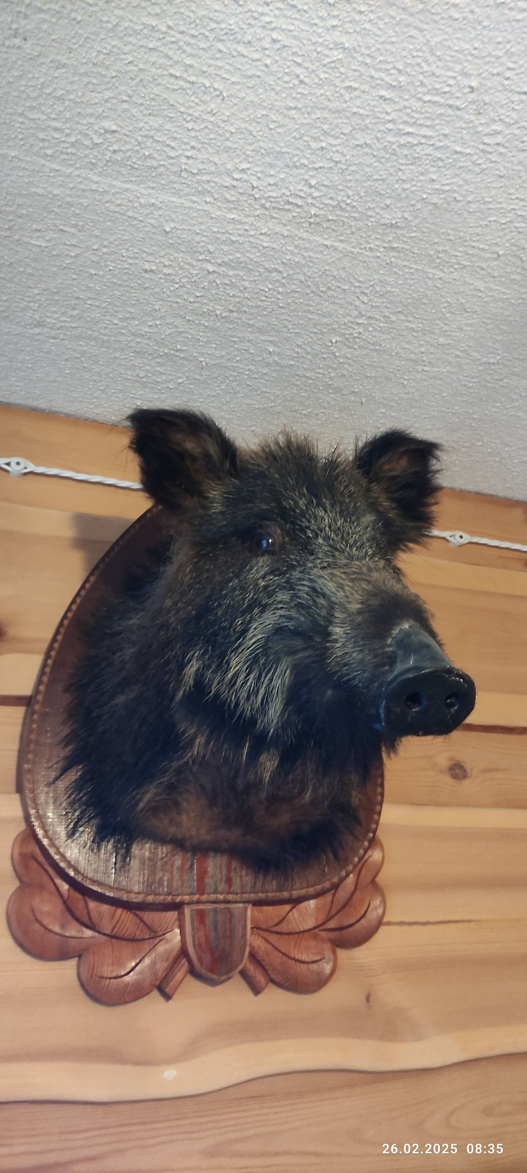 Фото Пробка