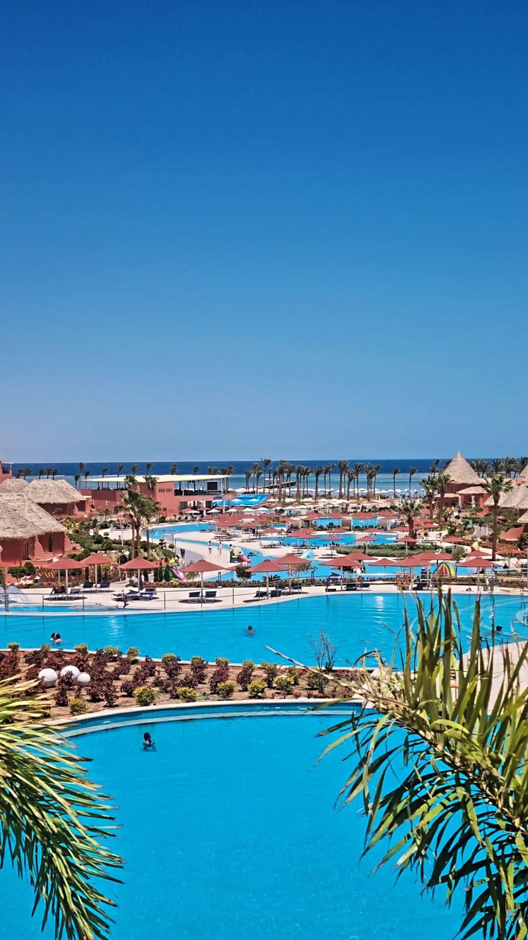 Фото Albatros Laguna Vista Resort