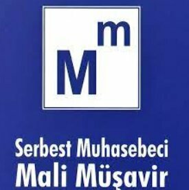 Tax consultants Freelance Accountant Financial Advisor Elif Tanyeli, Izmir, photo