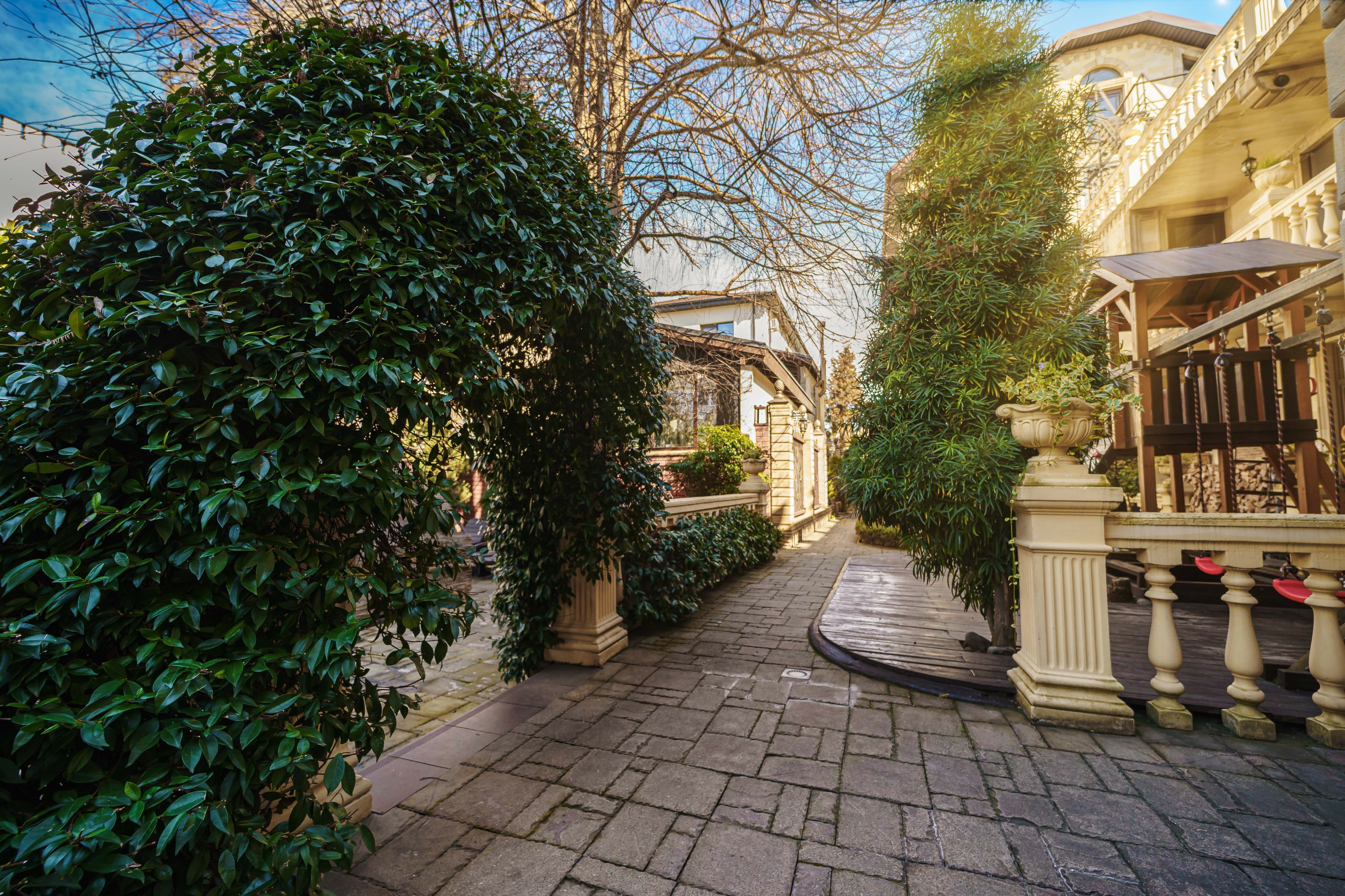 Фото Касабланка