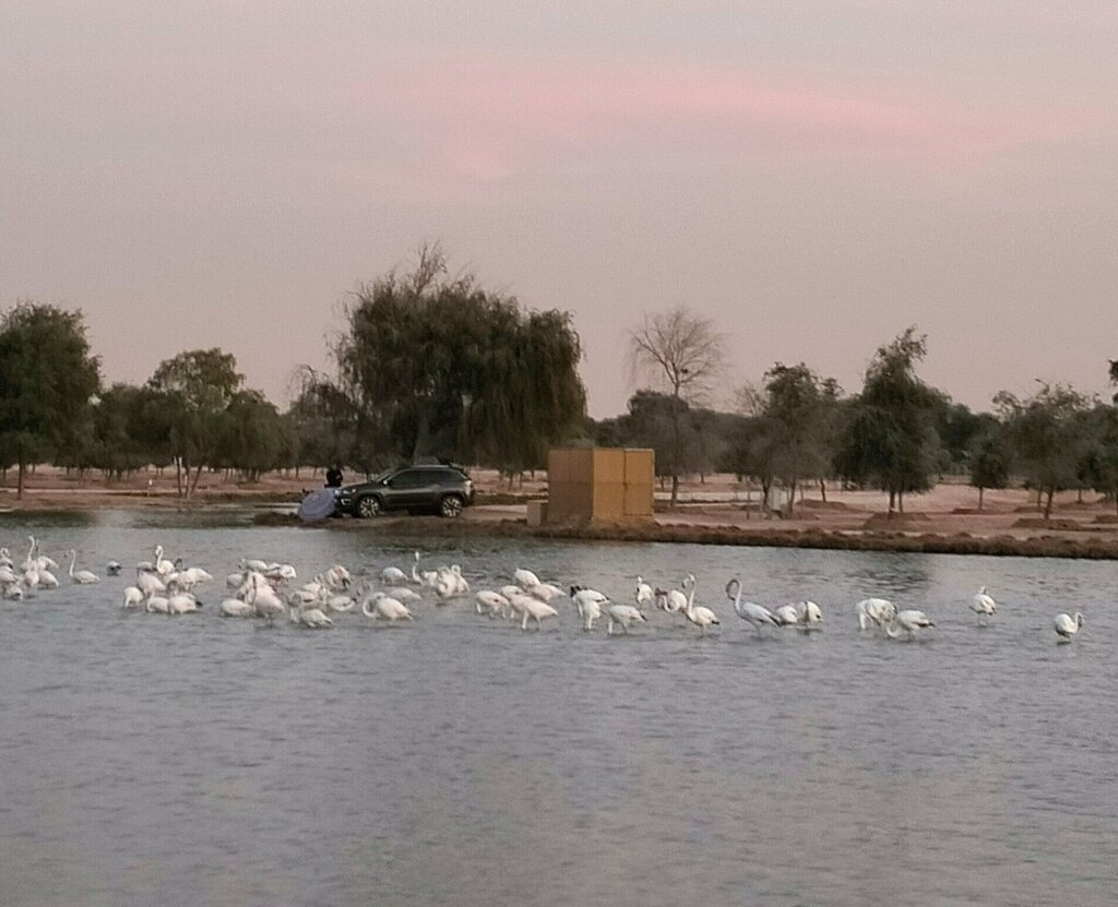 Amusement park Al Qudra Lake Ghadeer Barashy, Emirate of Dubai, photo