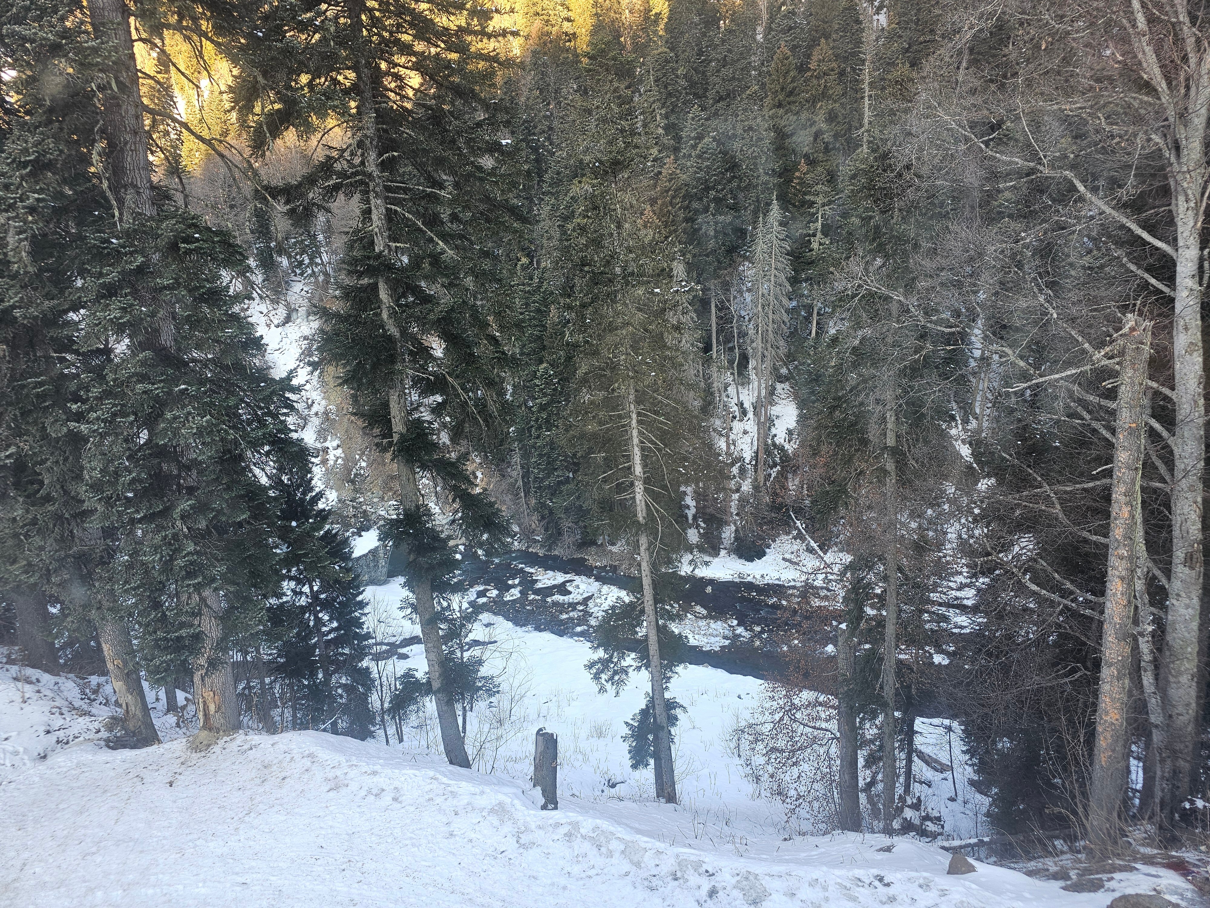 Фото АльпенХауз