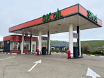 Sk Oil (Stavropol Territory, Shpakovskiy munitsipalny okrug, khutor Temnorechenskiy, Nevinnomysskaya ulitsa), gas station