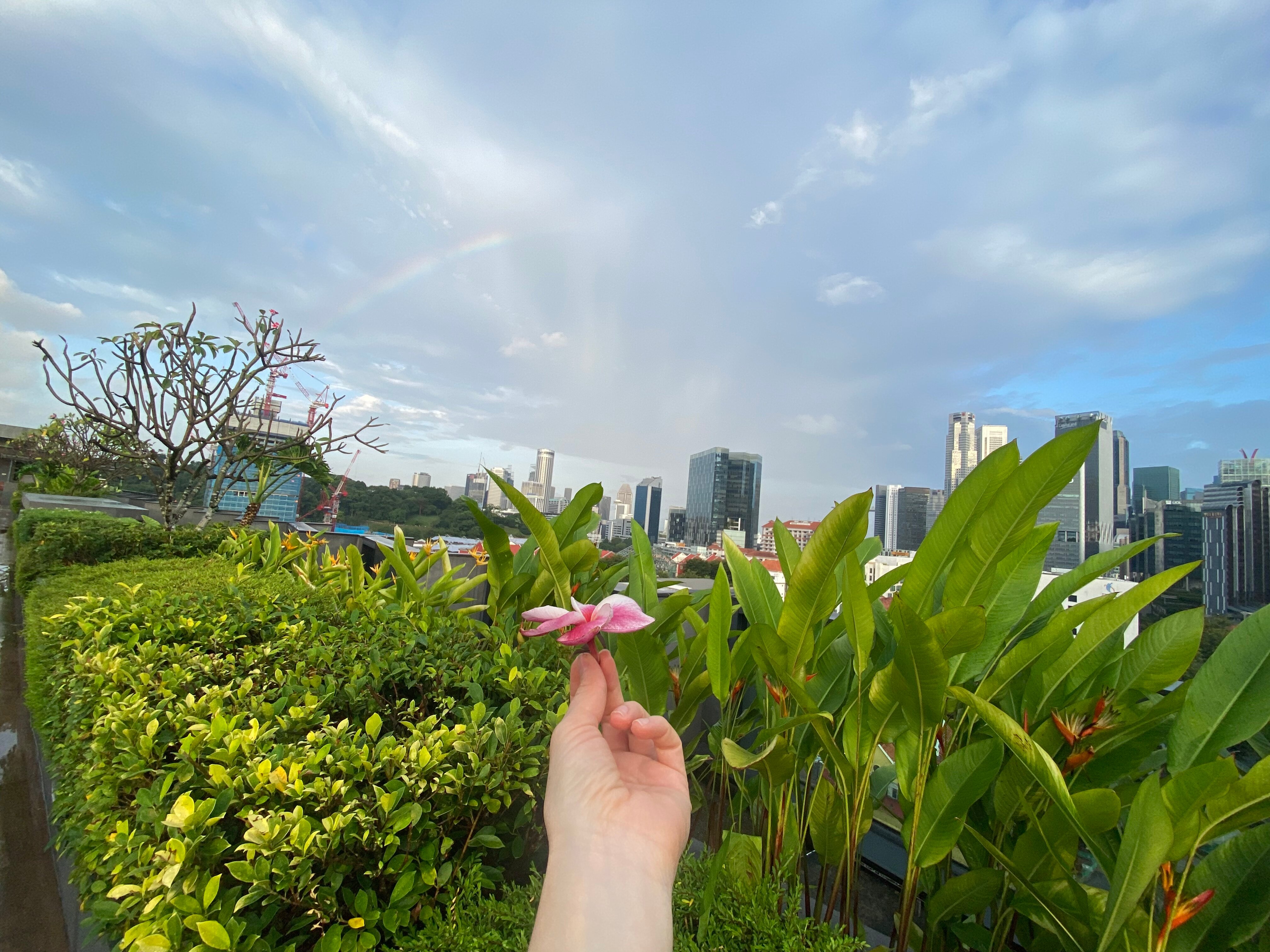 Фото Holiday Inn Express Singapore Clarke Quay