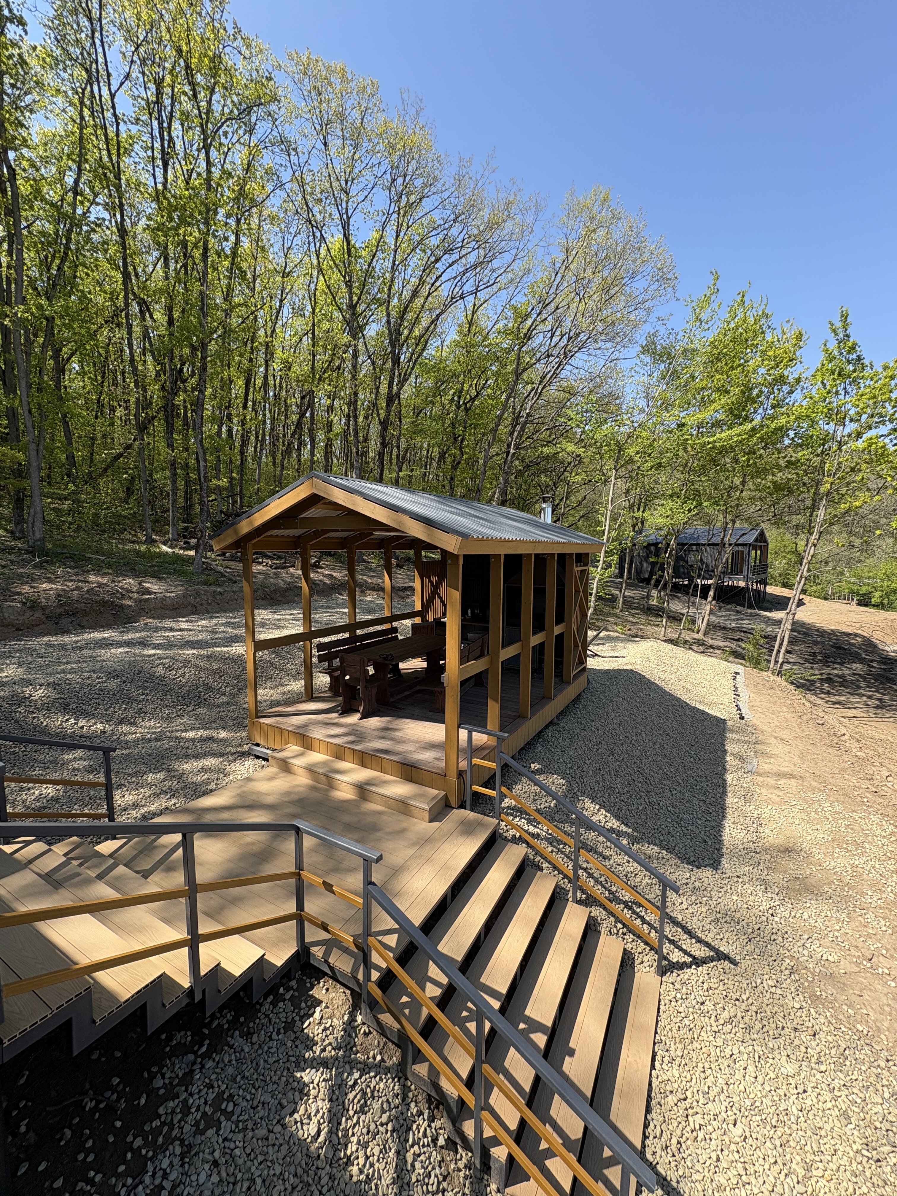 Фото Лес Азовская