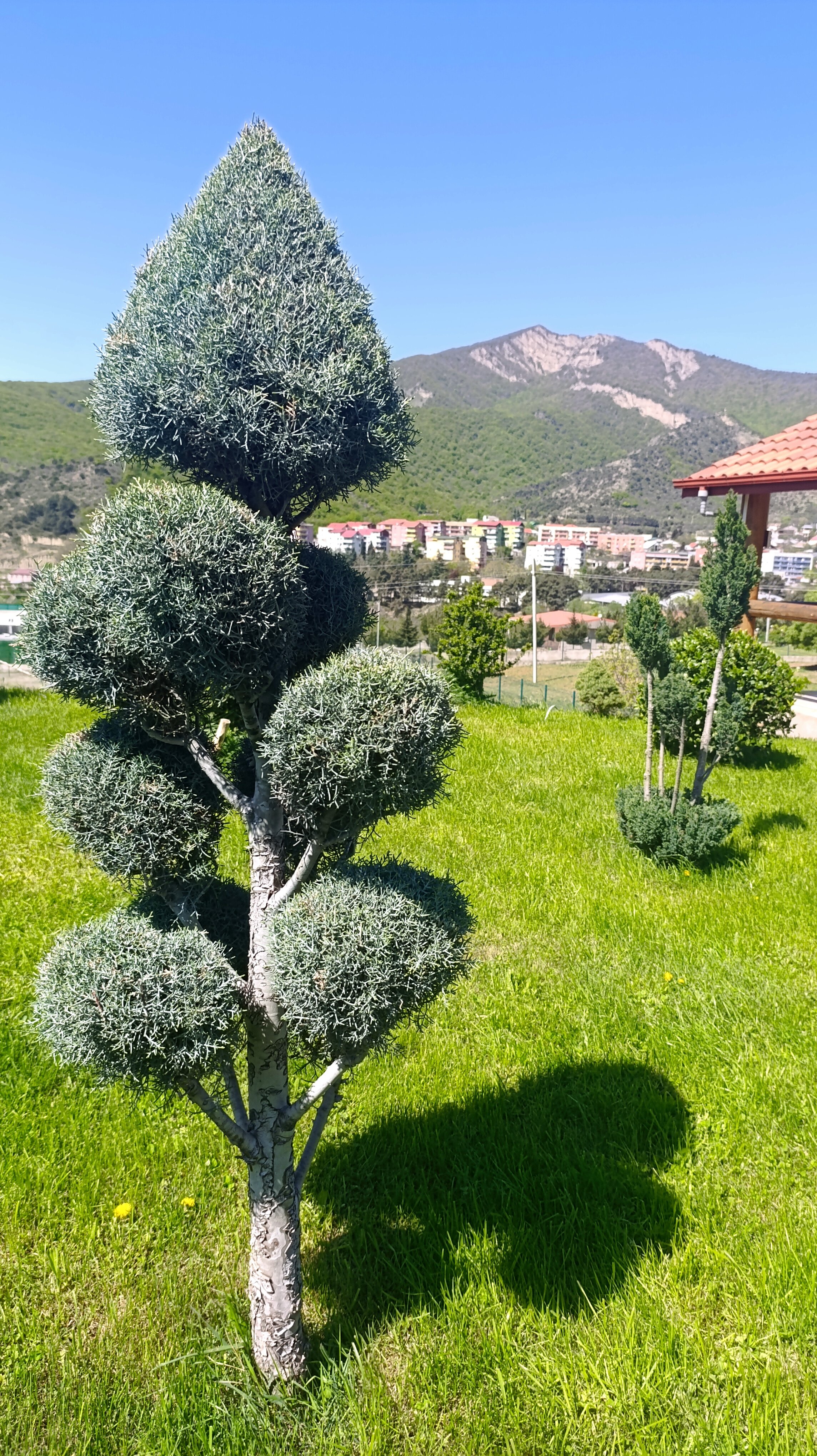 Фото Zedazeni Hotel