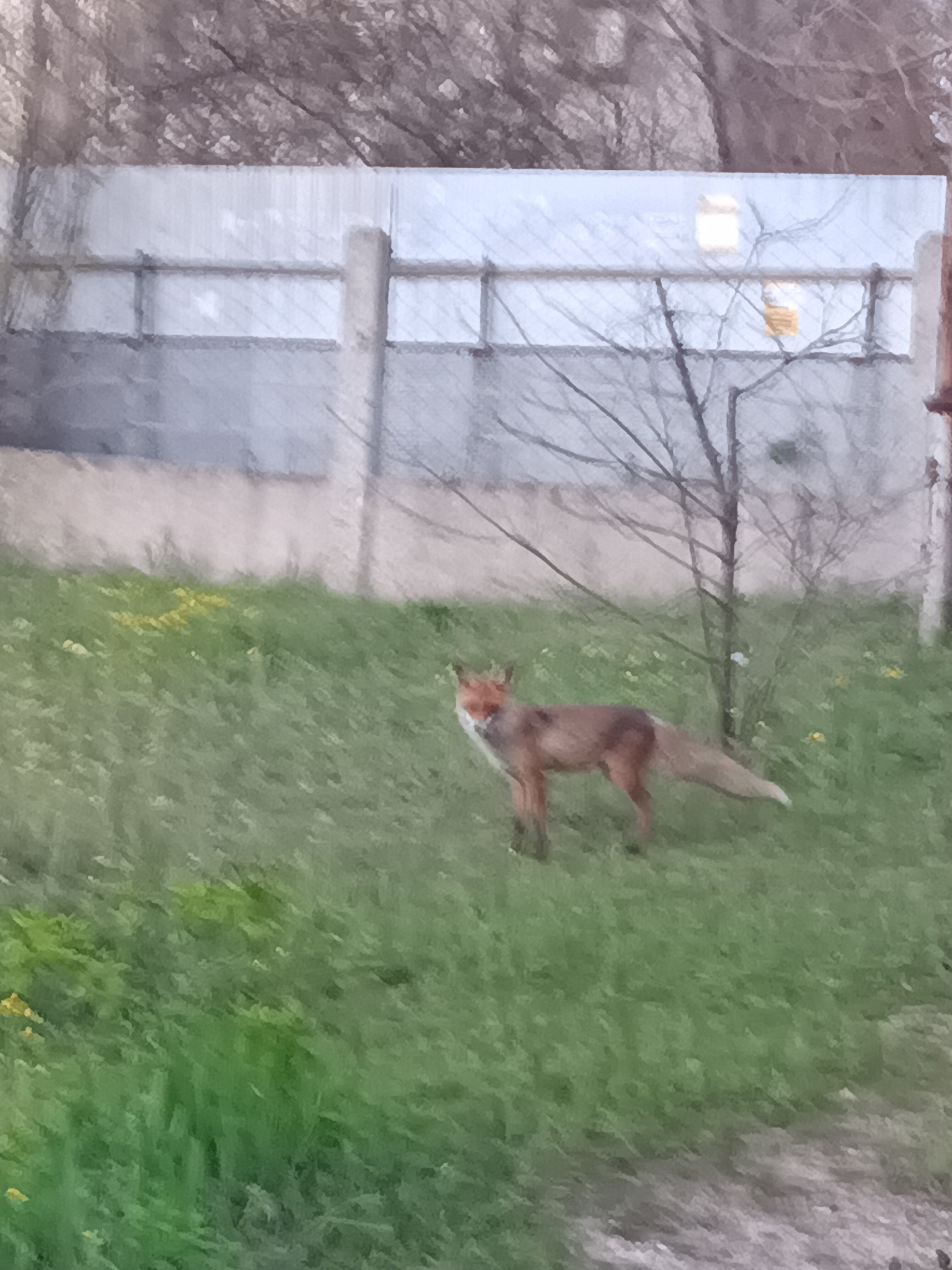 Фото Лазурный