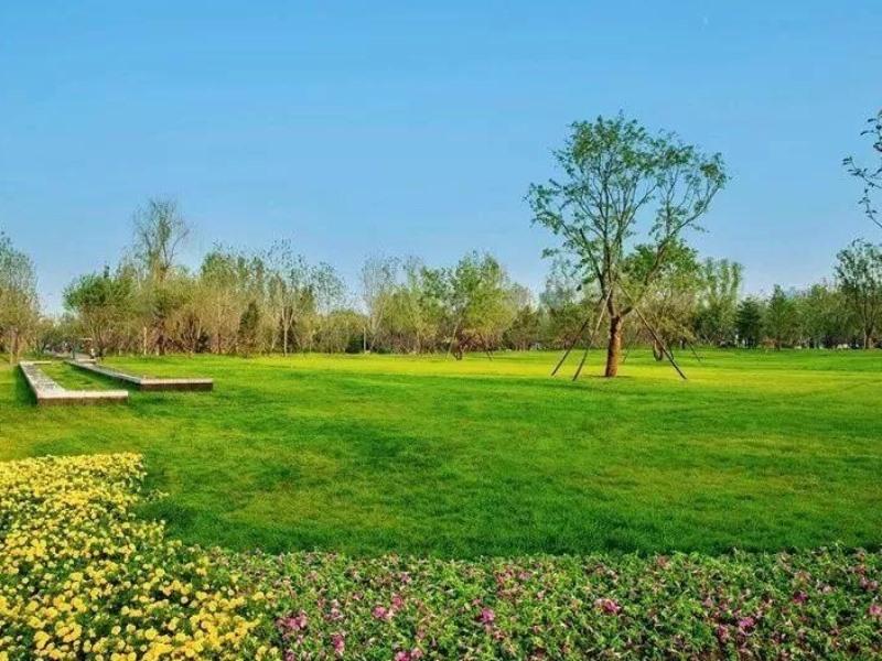 Фото GreenTree Inn Langfang GuAn County Xinyuan Street Express Hotel