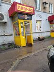 Пивная (posyolok Sotsgorod, Molodyozhny pereulok, 22), bar, pub