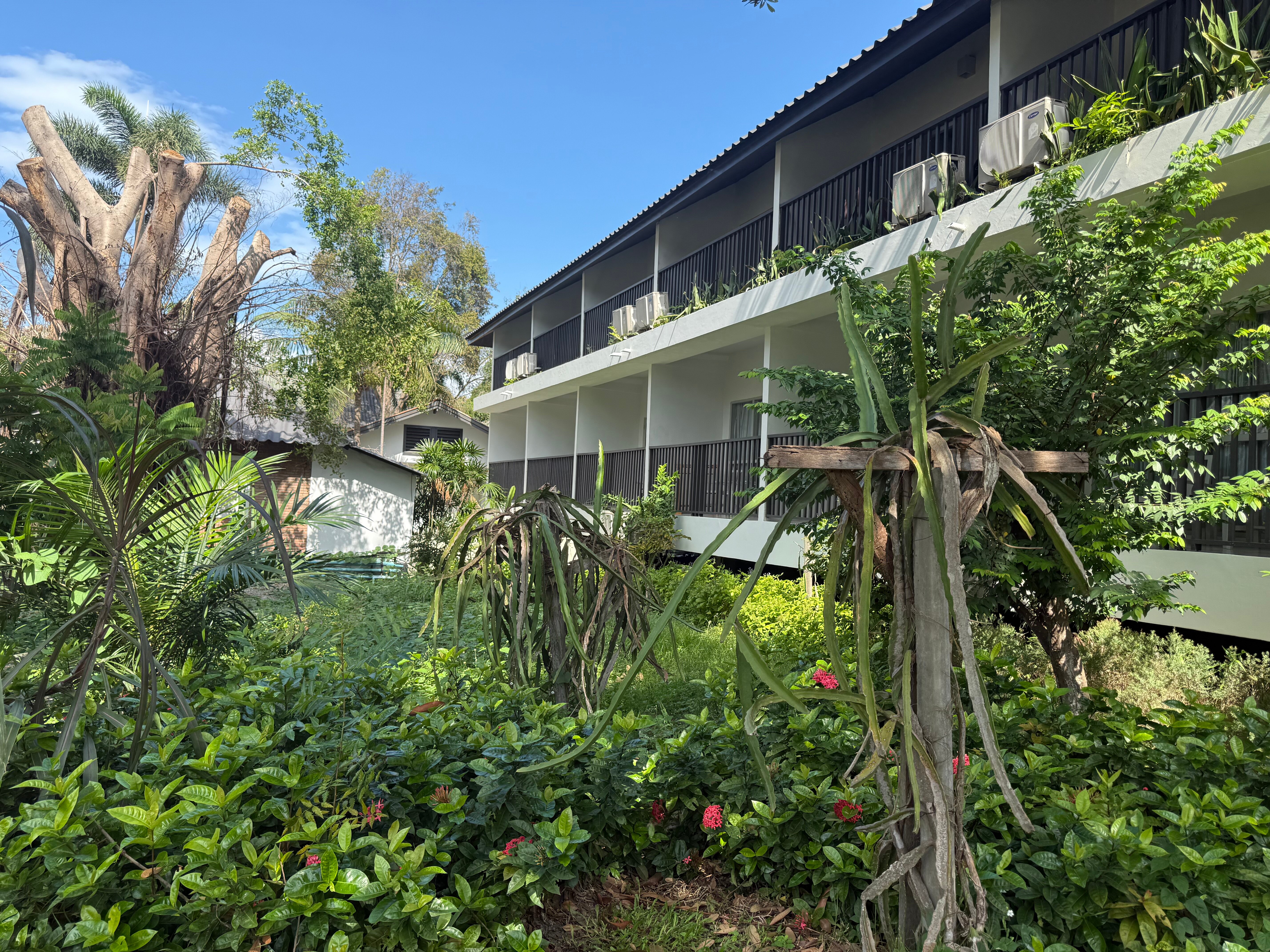 Фото Sunshine Garden Resort