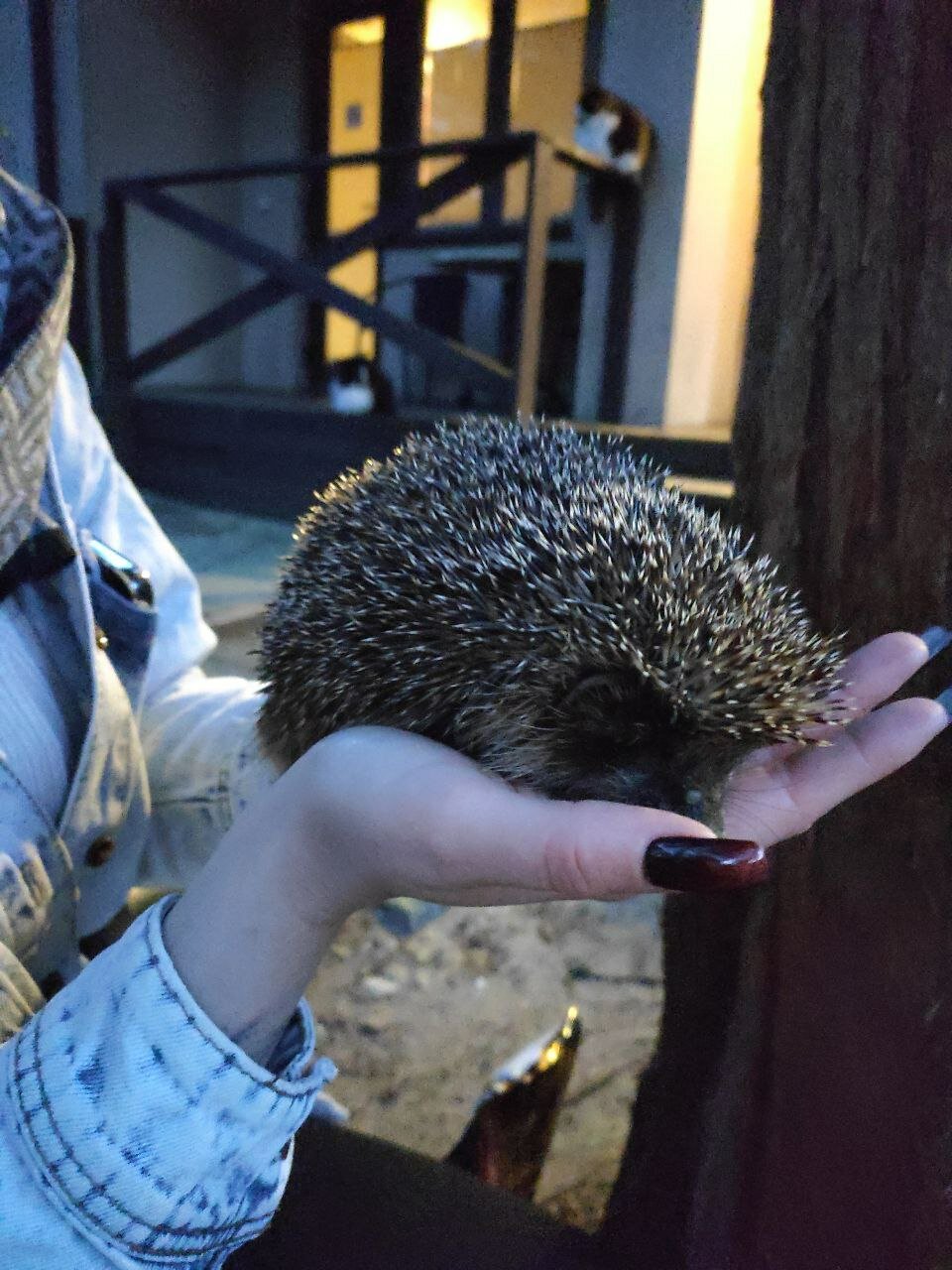 Фото Дом рыболова