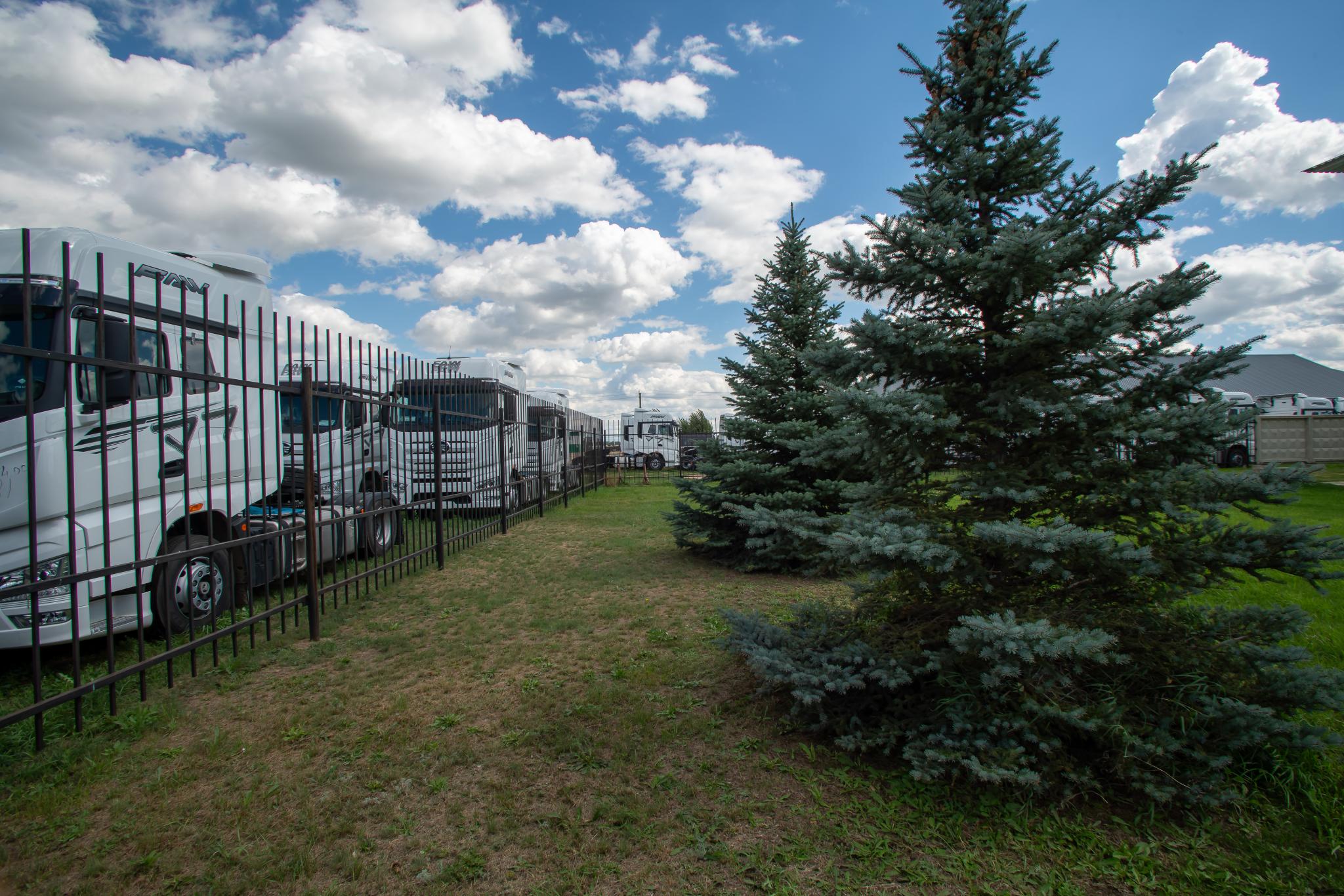 Фото Веселый Яр