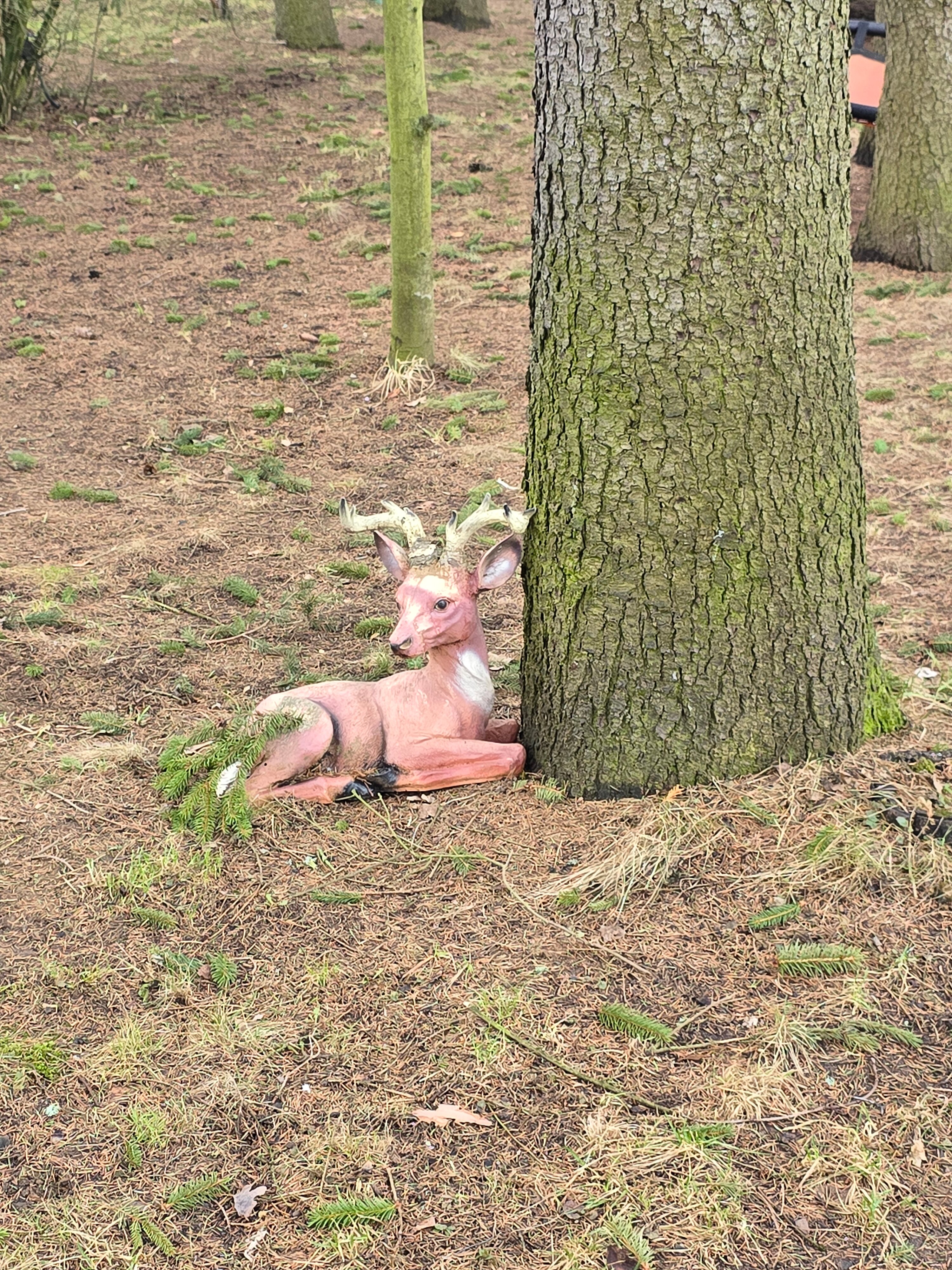 Фото Зеленый пейзаж