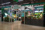 Cvety ljubimym (Arkhangelskaya Street, 43), flower shop