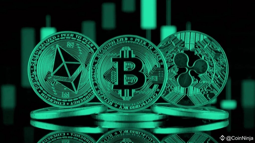 E-commerce Skyex, Yerevan, photo