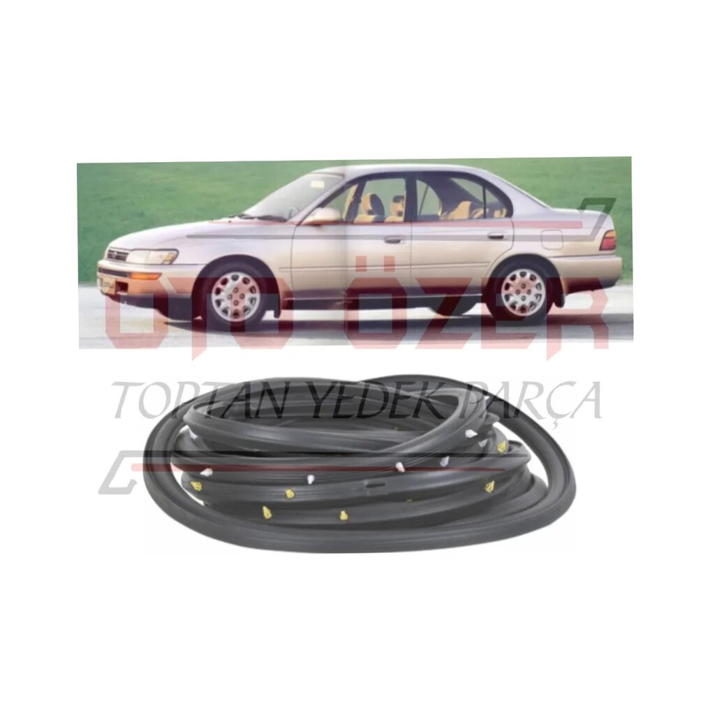 Auto parts and auto goods store Oto Ozer Mirror & Seal, Gaziantep, photo