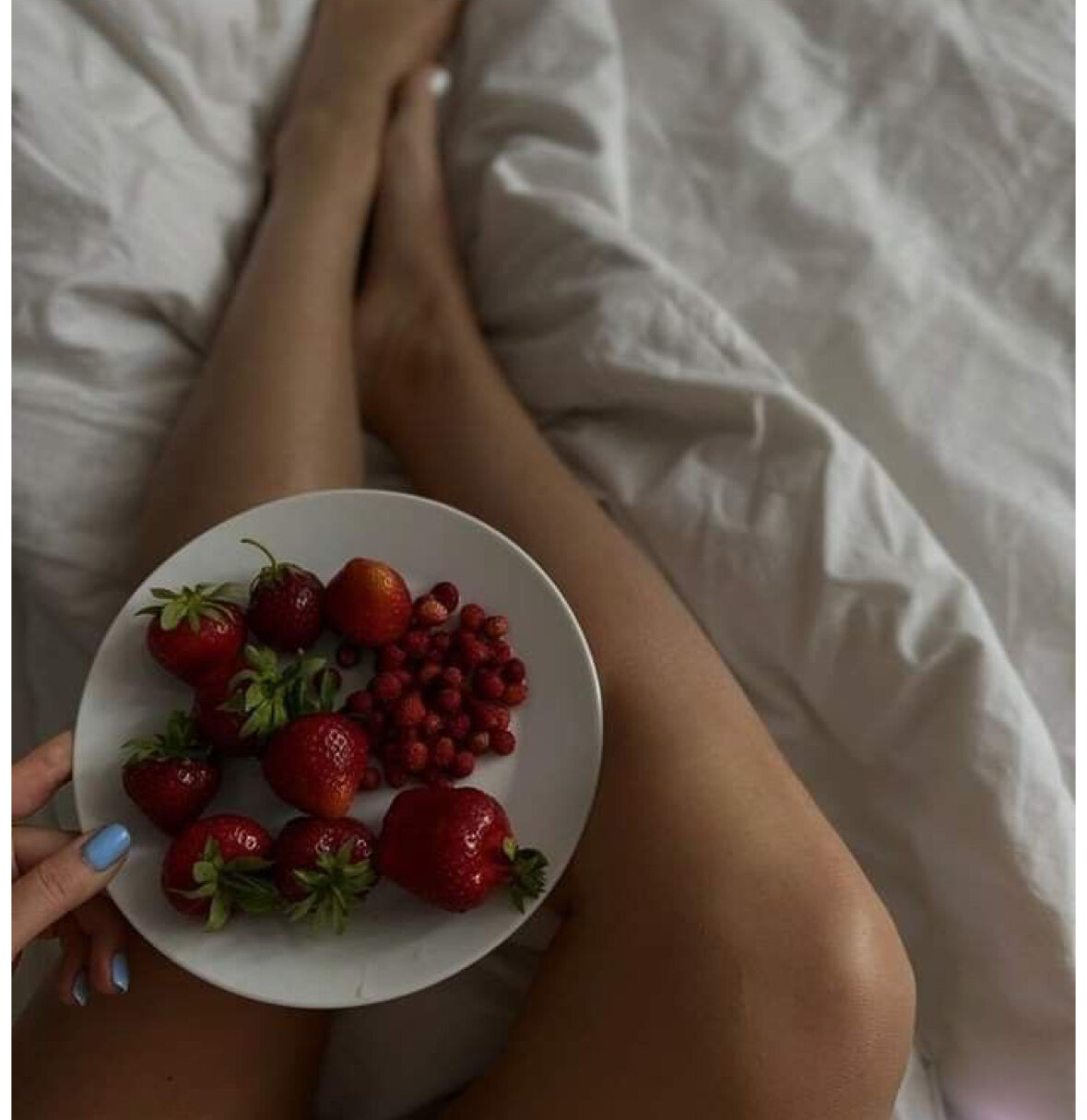 Фото SH Premium Home