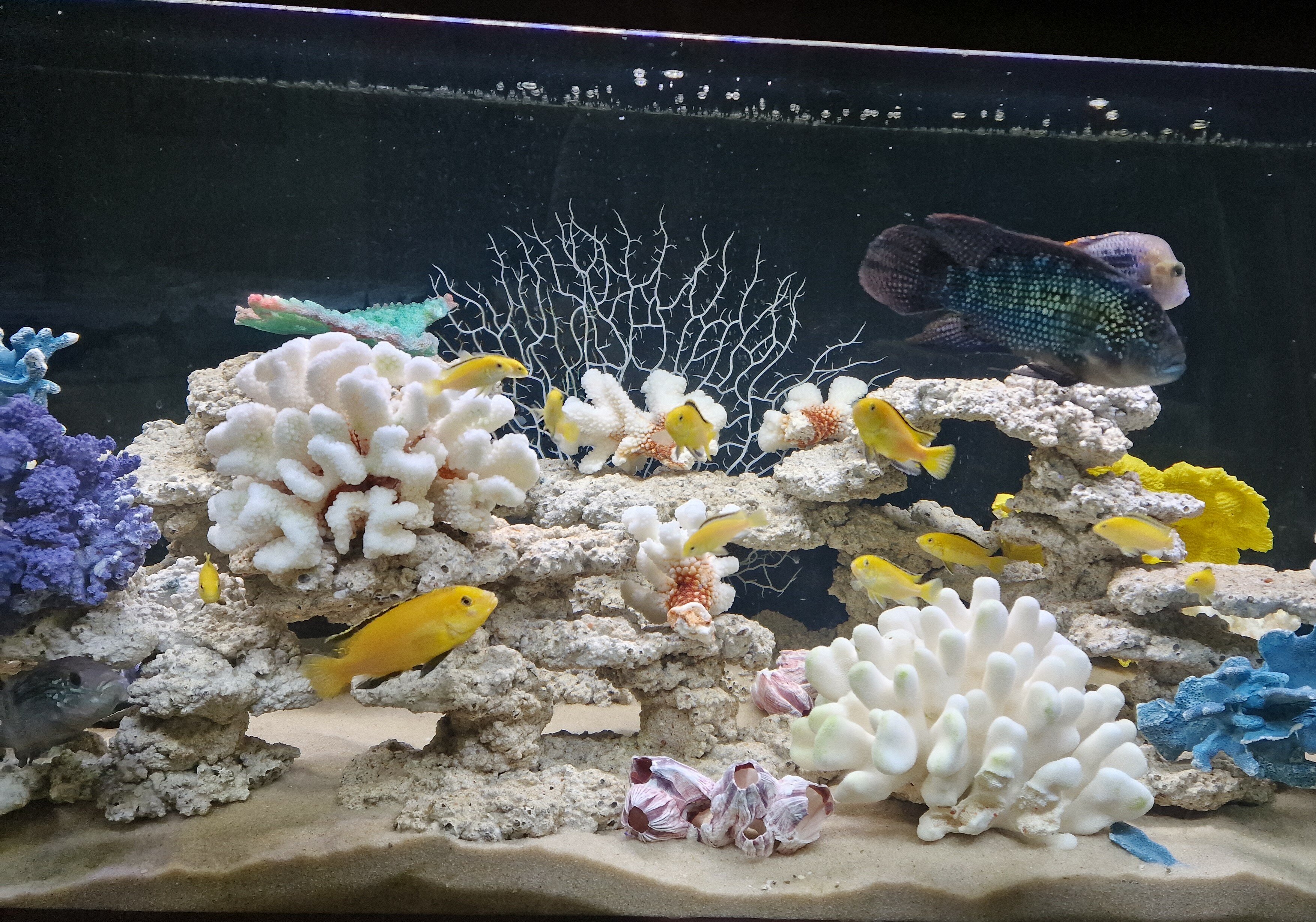 Фото Озеро Неро