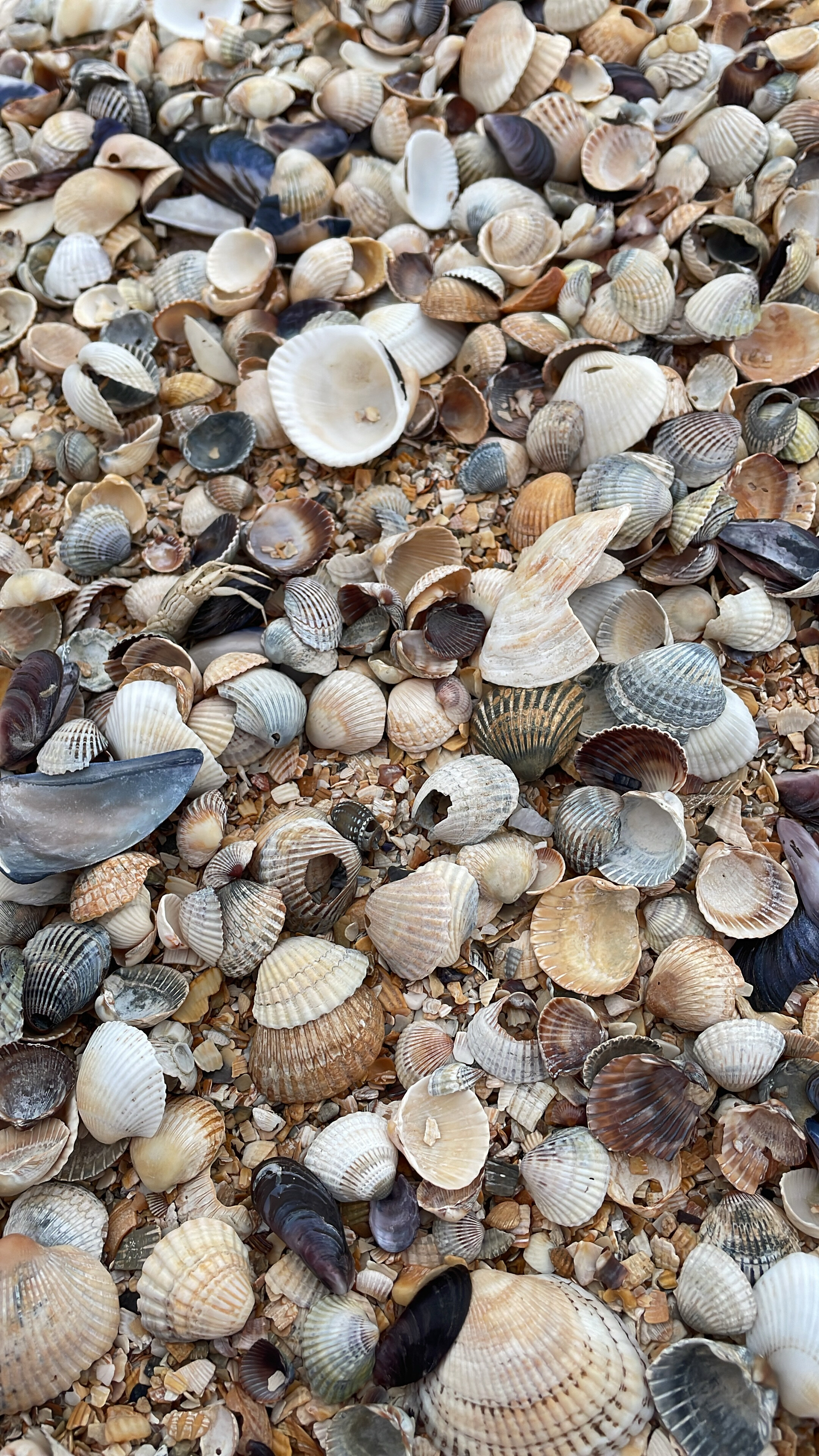 Фото Южный бриз