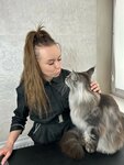 Groomroom (Liejtenanta Kizhavatava Street, 3А), salón de mascota, peluquería de animales