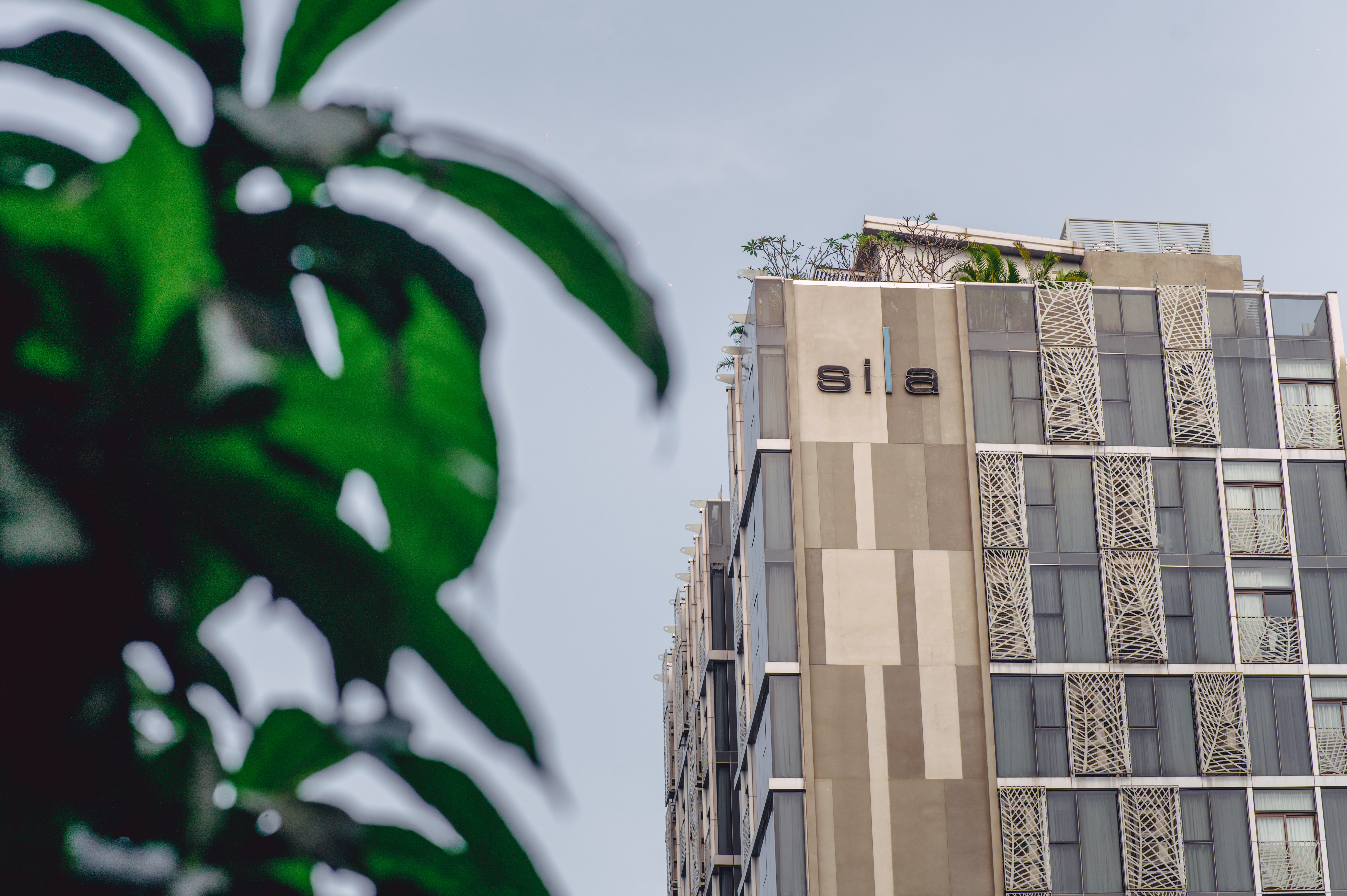 Фото Sila Urban Living