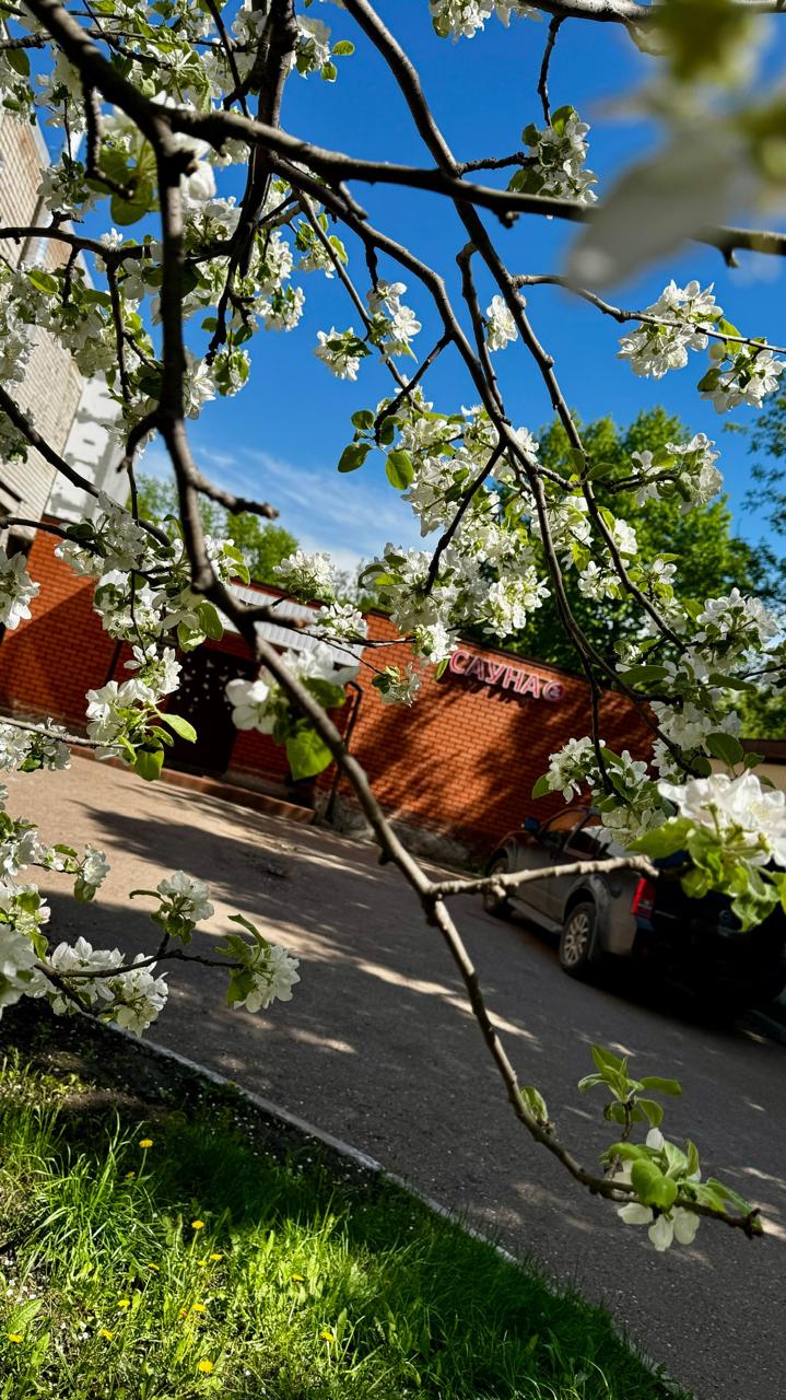 Фото Фаворит