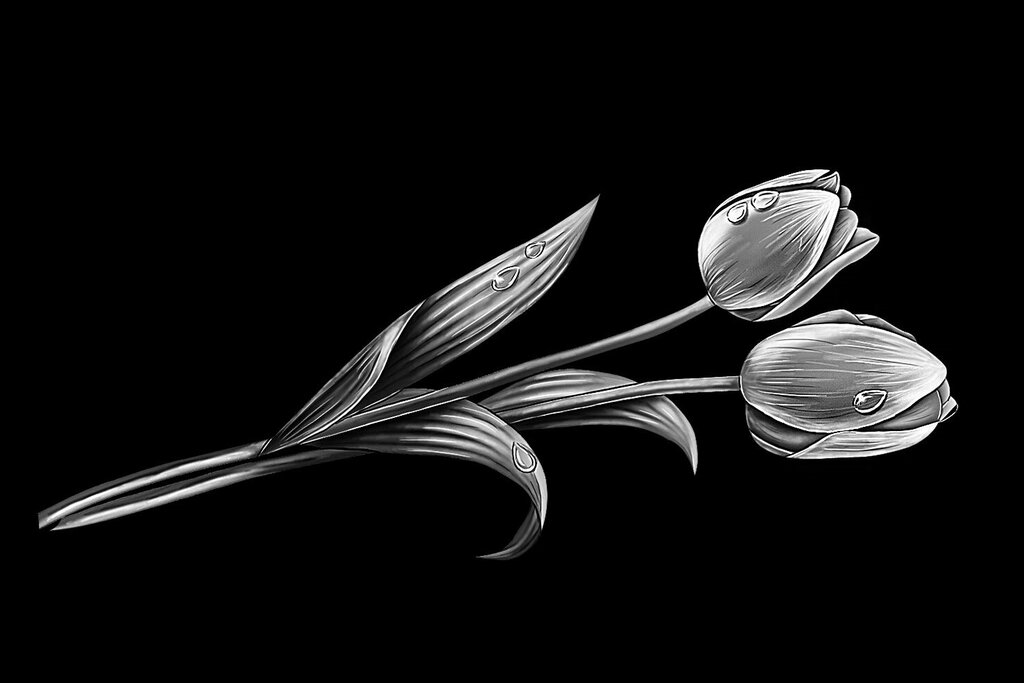 Funeral services Simbirsk, Ulyanovsk, photo