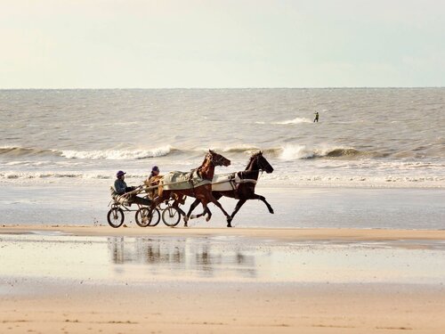 Гостиница Novotel Deauville Beach  в Довиле